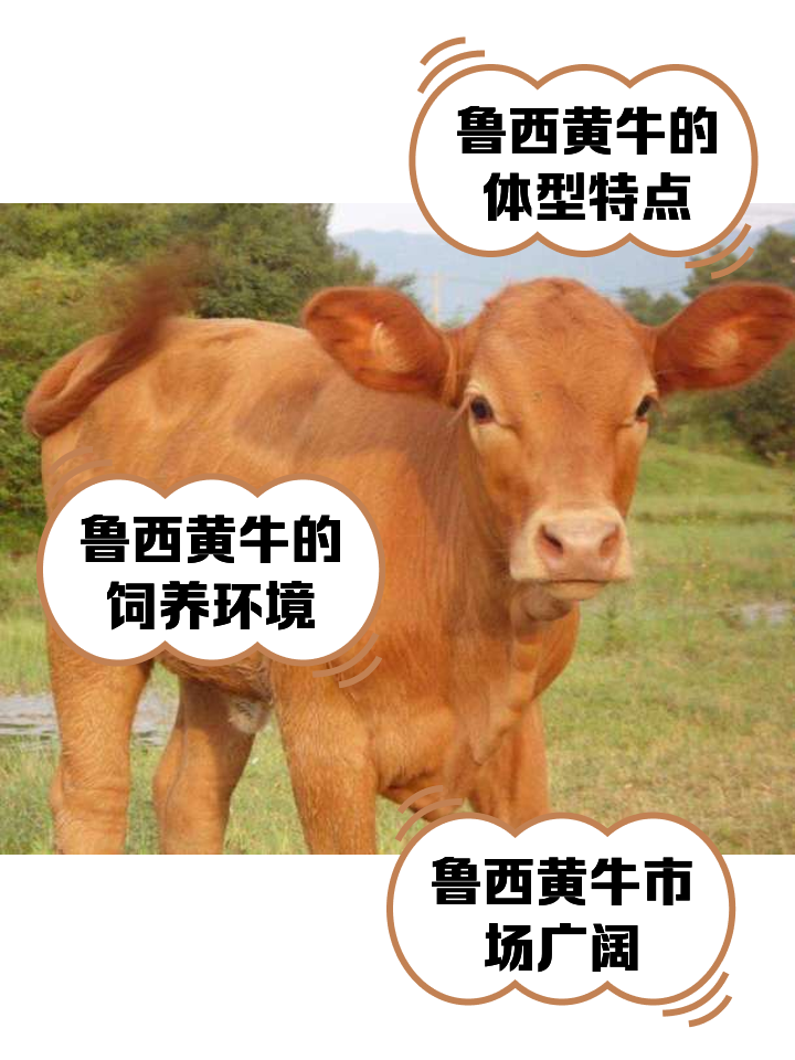 永州最新医保取现黄牛方法分析(最方便真实的永州医保取现黄牛怎么取方法)